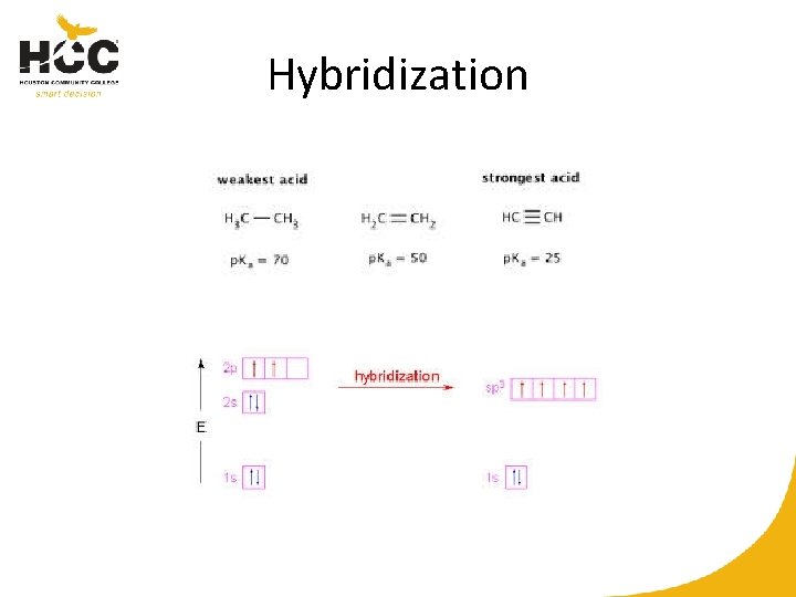 Hybridization 