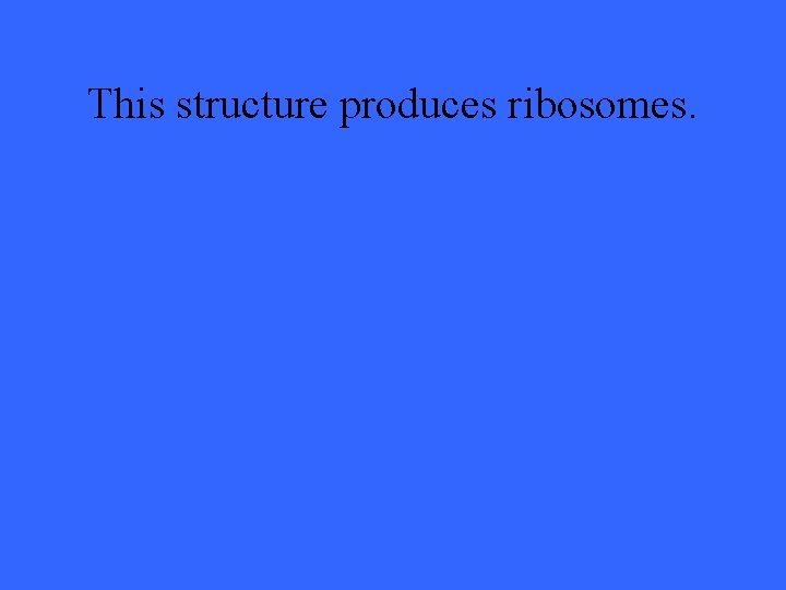 This structure produces ribosomes. 