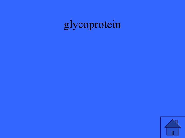glycoprotein 
