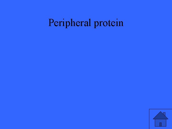 Peripheral protein 