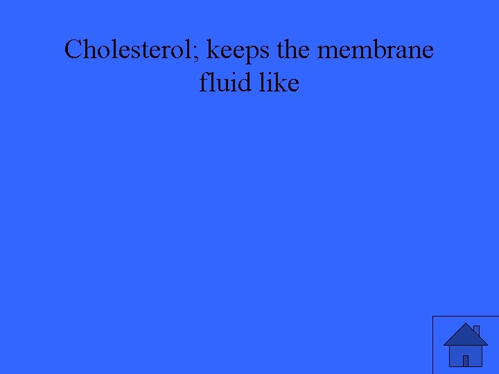 Cholesterol; keeps the membrane fluid like 