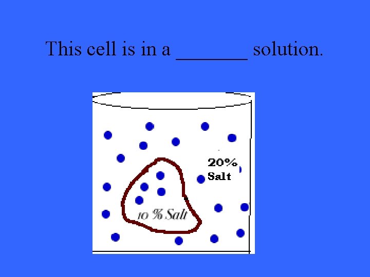 This cell is in a _______ solution. 