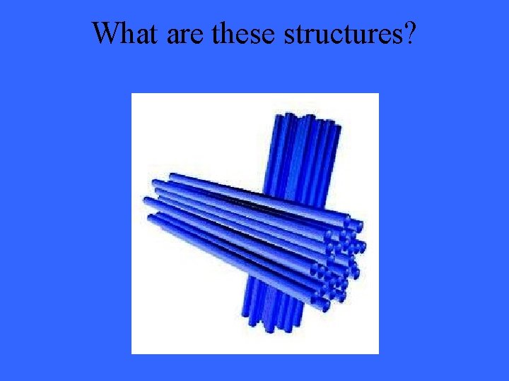 What are these structures? 