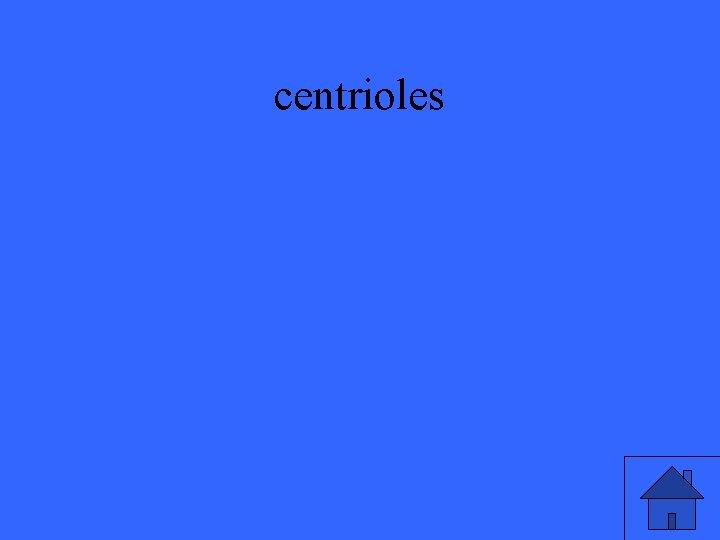 centrioles 