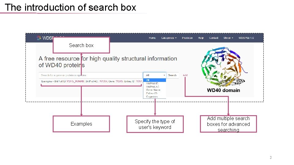 The introduction of search box Search box Examples Specify the type of user's keyword