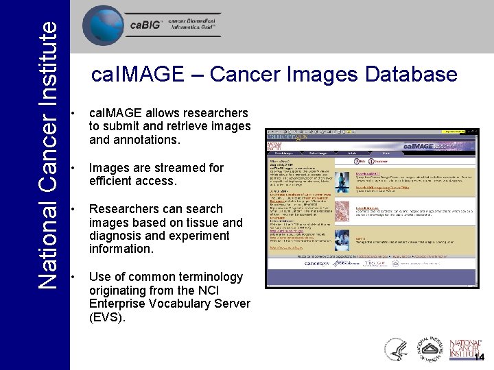 National Cancer Institute ca. IMAGE – Cancer Images Database • ca. IMAGE allows researchers