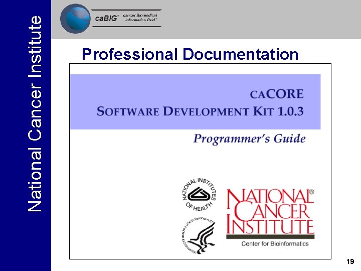 National Cancer Institute Professional Documentation 19 National Cancer Institute Professional Documentation 19