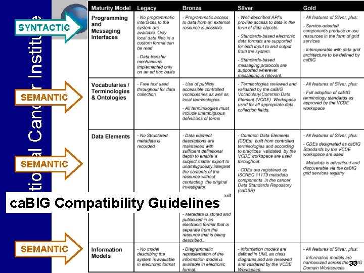 National Cancer Institute SYNTACTIC SEMANTIC ca. BIG Compatibility Guidelines SEMANTIC 33 