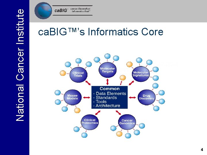National Cancer Institute ca. BIG™’s Informatics Core 4 