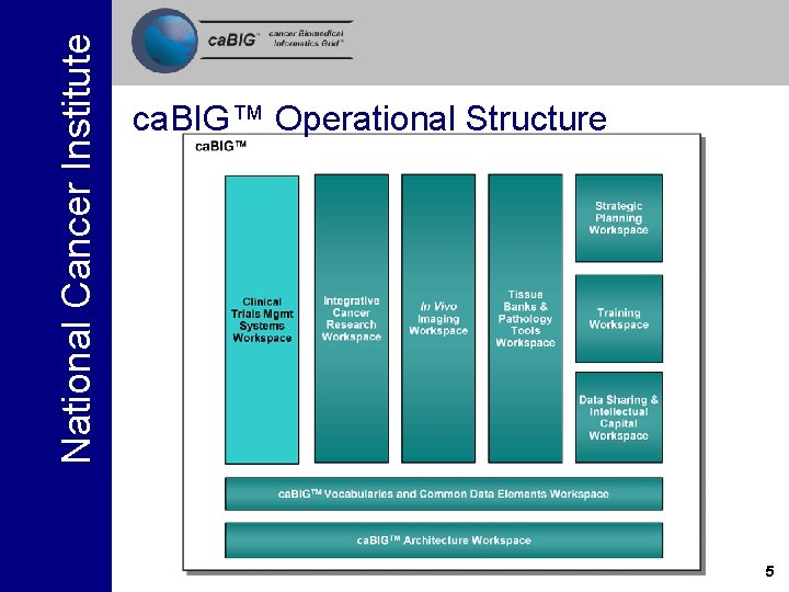 National Cancer Institute ca. BIG™ Operational Structure 5 