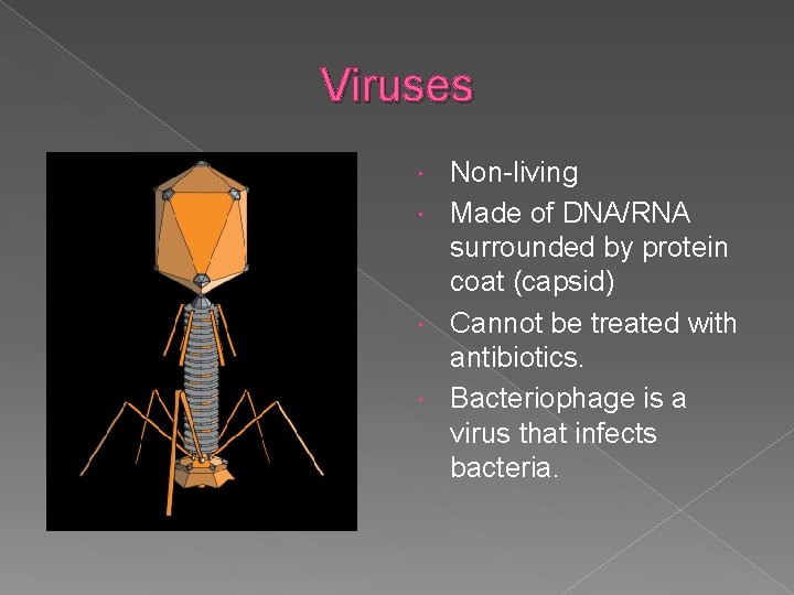 Viruses Non-living Made of DNA/RNA surrounded by protein coat (capsid) Cannot be treated with