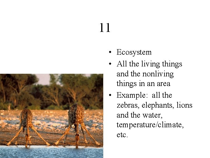 11 • Ecosystem • All the living things and the nonliving things in an