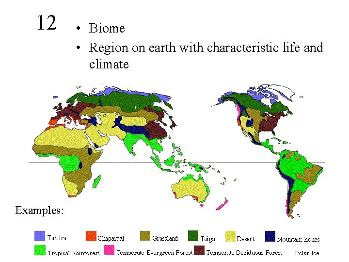 12 Examples: • Biome • Region on earth with characteristic life and climate 