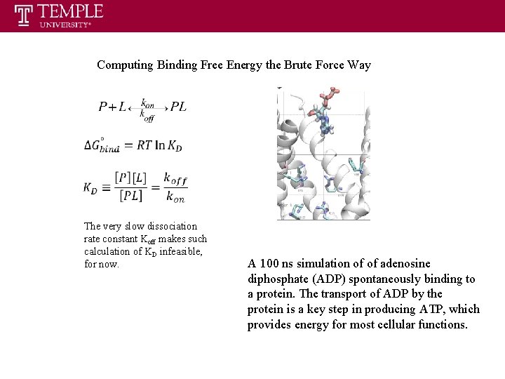 Computing Binding Free Energy the Brute Force Way The very slow dissociation rate constant Computing Binding Free Energy the Brute Force Way The very slow dissociation rate constant