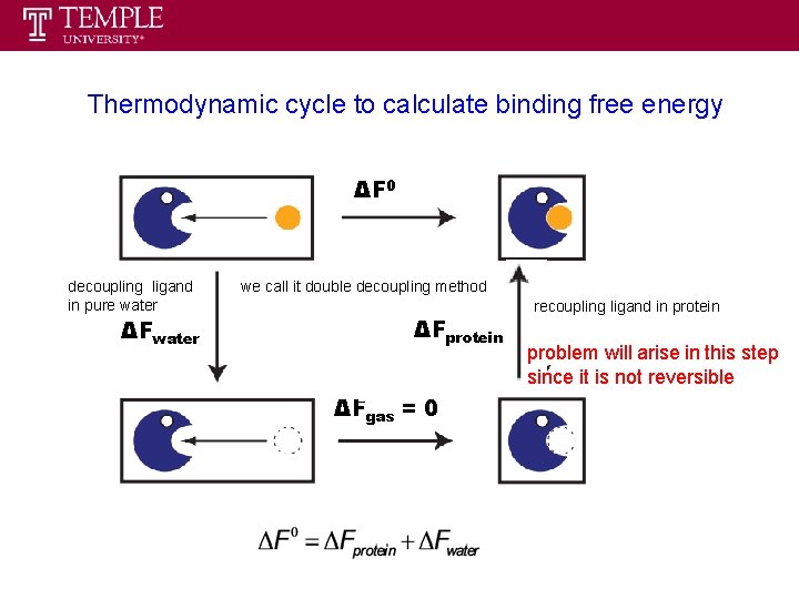 Thermodynamic cycle to calculate binding free energy ΔF 0 decoupling ligand in pure water Thermodynamic cycle to calculate binding free energy ΔF 0 decoupling ligand in pure water