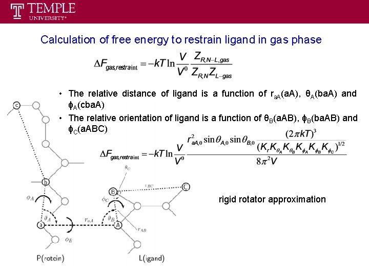 Calculation of free energy to restrain ligand in gas phase • The relative distance Calculation of free energy to restrain ligand in gas phase • The relative distance