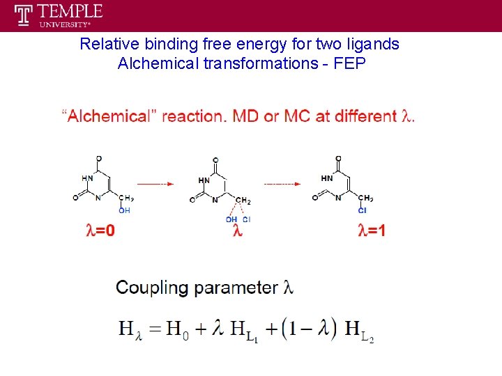 Relative binding free energy for two ligands Alchemical transformations - FEP Relative binding free energy for two ligands Alchemical transformations - FEP