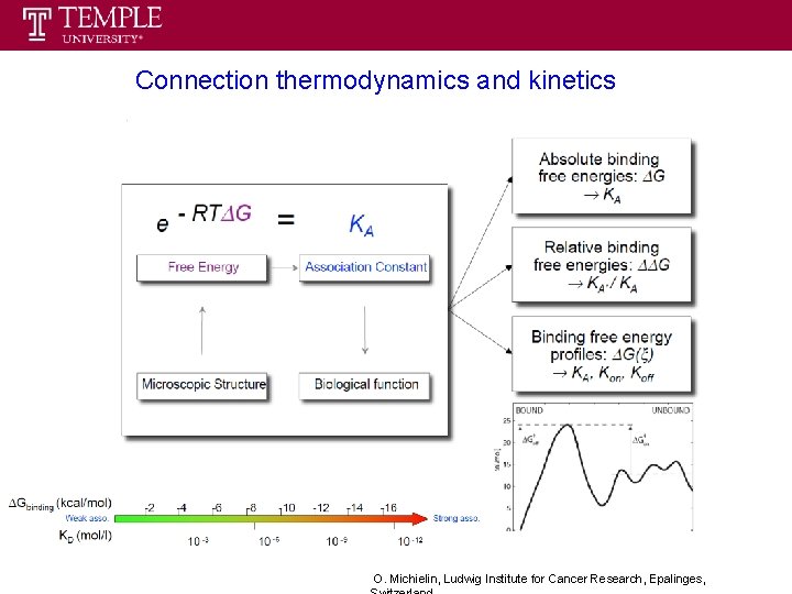 Connection thermodynamics and kinetics O. Michielin, Ludwig Institute for Cancer Research, Epalinges, Connection thermodynamics and kinetics O. Michielin, Ludwig Institute for Cancer Research, Epalinges,
