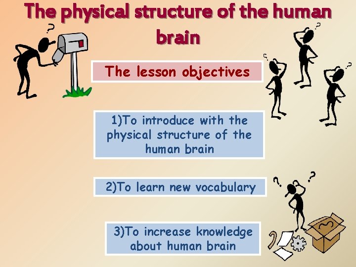 The physical structure of the human brain The lesson objectives 1)To introduce with the