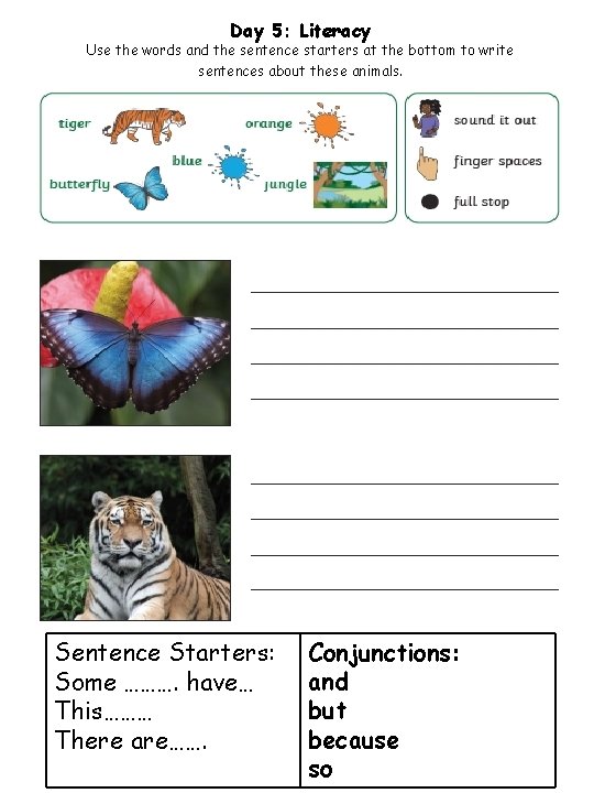 Day 5: Literacy Use the words and the sentence starters at the bottom to