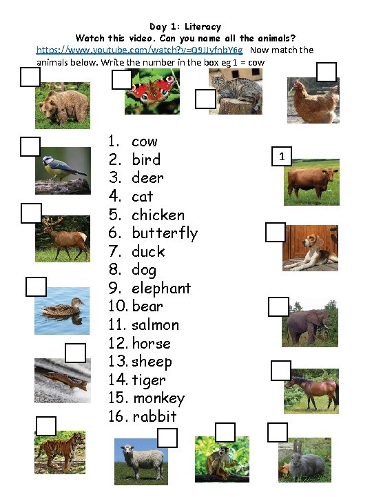 Day 1: Literacy Watch this video. Can you name all the animals? https: //www.