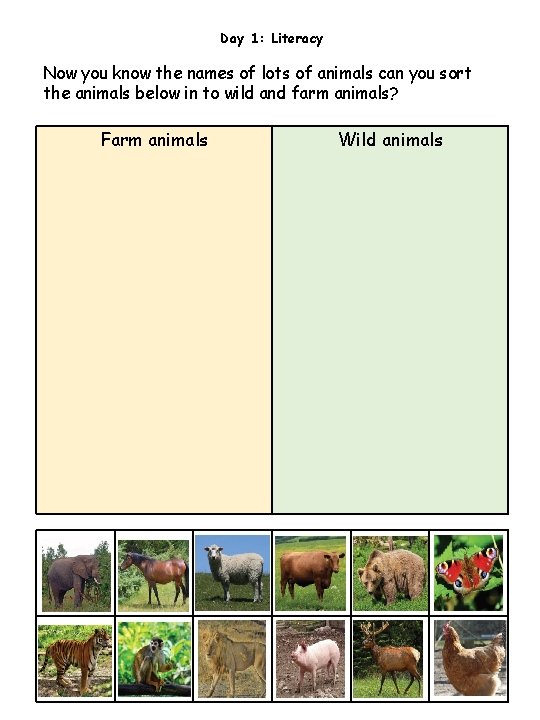 Day 1: Literacy Now you know the names of lots of animals can you
