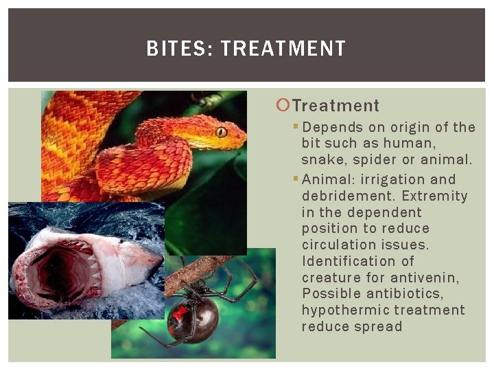 BITES: TREATMENT Treatment § Depends on origin of the bit such as human, snake,
