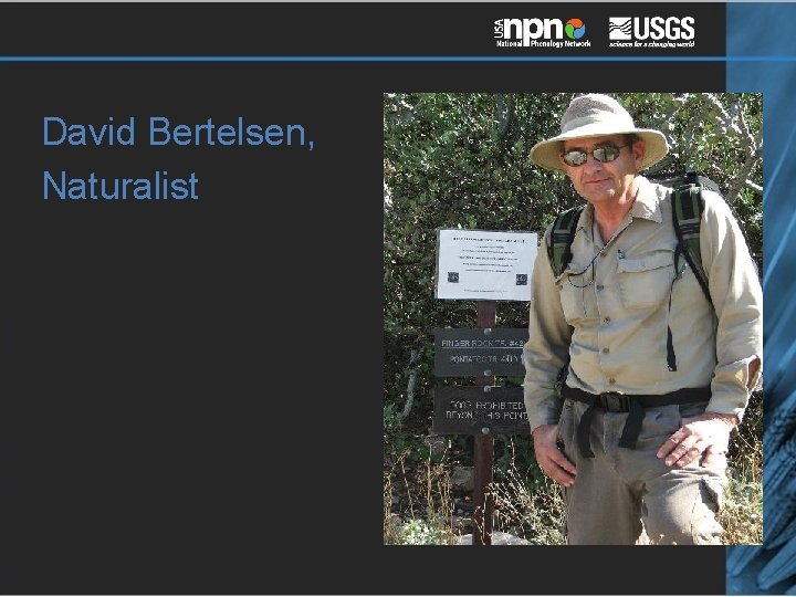 David Bertelsen, Naturalist 