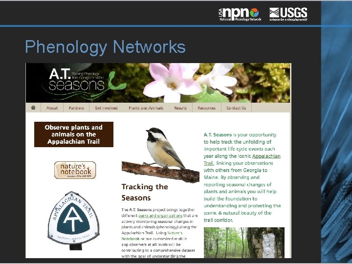 Phenology Networks 