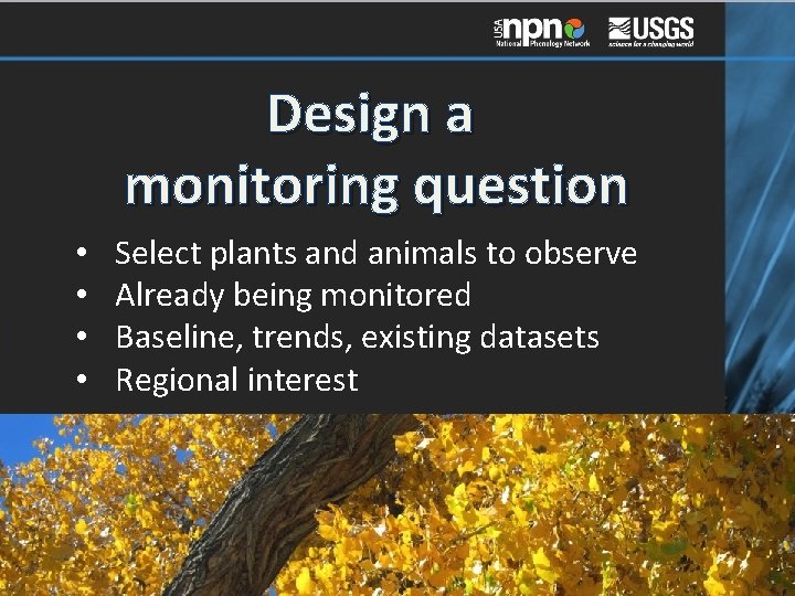 Design a monitoring question • • Select plants and animals to observe Already being