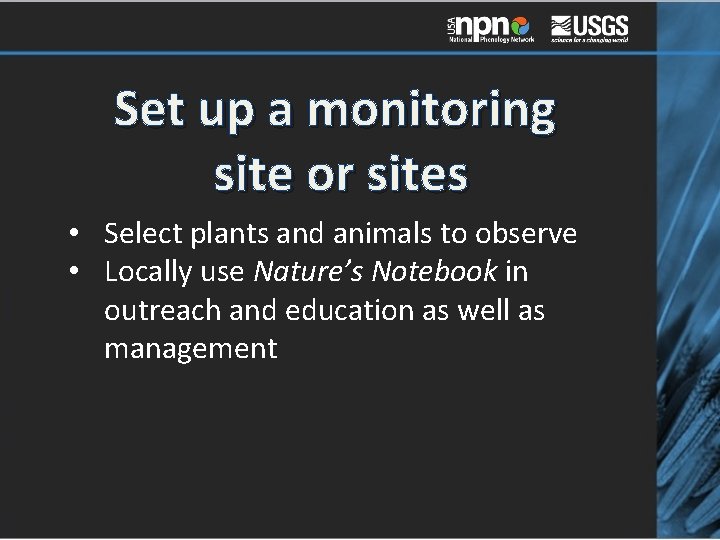 Set up a monitoring site or sites • Select plants and animals to observe
