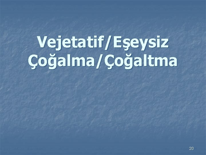 Vejetatif/Eşeysiz Çoğalma/Çoğaltma 20 