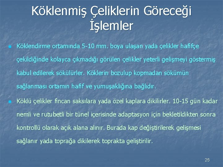 Köklenmiş Çeliklerin Göreceği İşlemler n Köklendirme ortamında 5 -10 mm. boya ulaşan yada çelikler