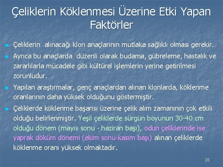 Çeliklerin Köklenmesi Üzerine Etki Yapan Faktörler n n Çeliklerin alınacağı klon anaçlarının mutlaka sağlıklı