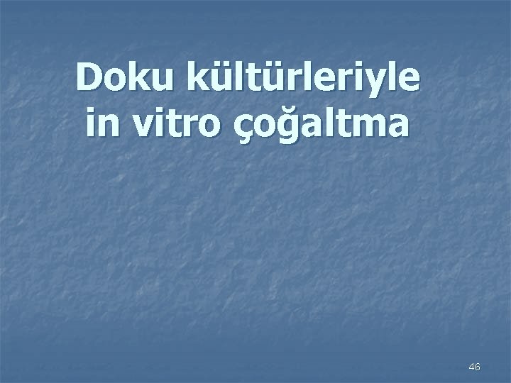 Doku kültürleriyle in vitro çoğaltma 46 