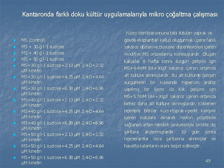 Kantaronda farklı doku kültür uygulamalarıyla mikro çoğaltma çalışması Yüzey sterilizasyonuna tabi tutulan yaprak ve