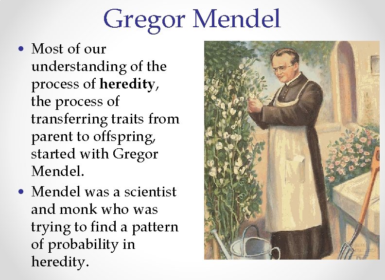 Gregor Mendel • Most of our understanding of the process of heredity, the process