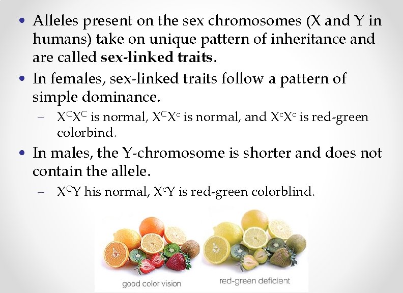  • Alleles present on the sex chromosomes (X and Y in humans) take