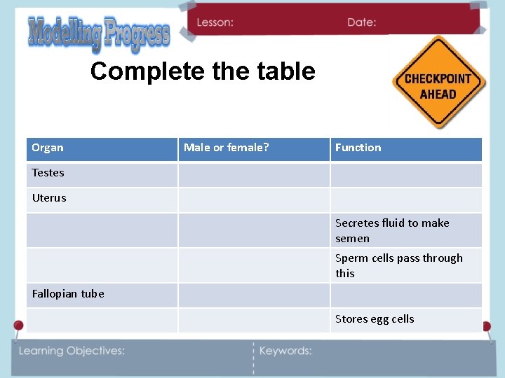 Complete the table Organ Male or female? Function Testes Uterus Secretes fluid to make