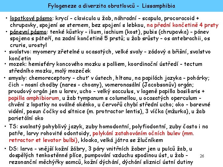 Fylogeneze a diverzita obratlovců - Lissamphibia • lopatkové pásmo: krycí - clavicula u žab,