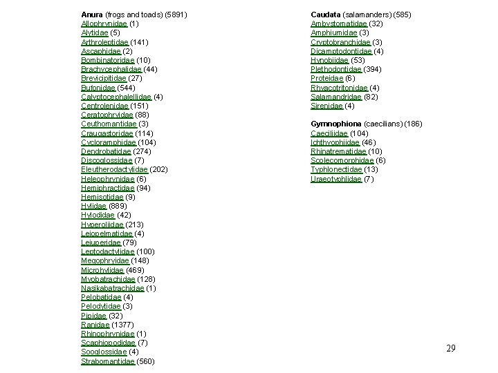 Anura (frogs and toads) (5891) Allophrynidae (1) Alytidae (5) Arthroleptidae (141) Ascaphidae (2) Bombinatoridae