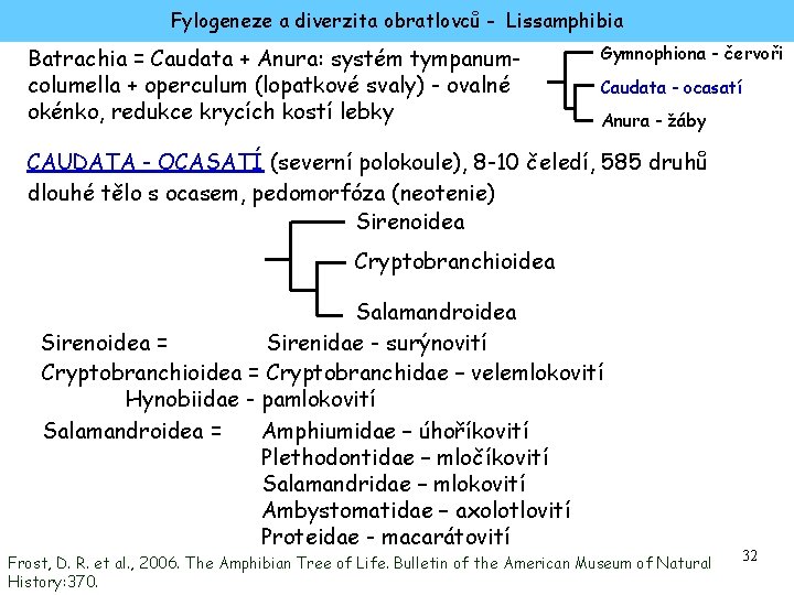 Fylogeneze a diverzita obratlovců - Lissamphibia Batrachia = Caudata + Anura: systém tympanumcolumella +