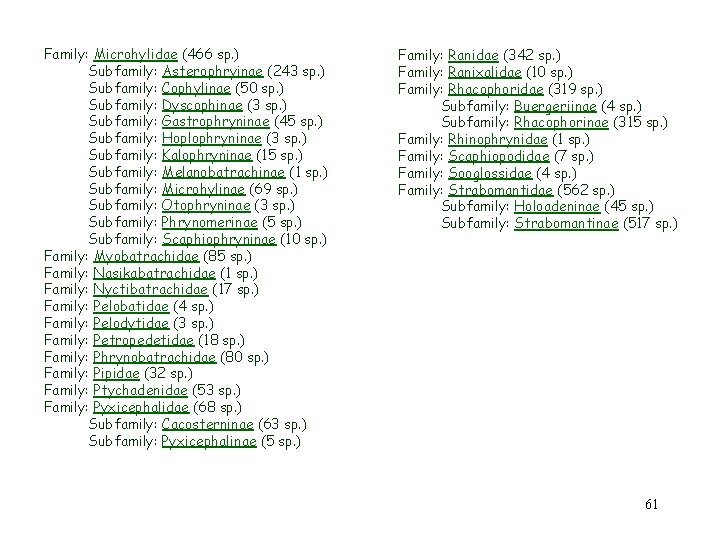 Family: Microhylidae (466 sp. ) Subfamily: Asterophryinae (243 sp. ) Subfamily: Cophylinae (50 sp.