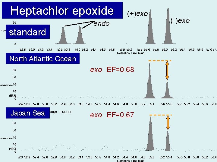 Heptachlor epoxide (+)exo endo standard P 19 -2 North Atlantic Ocean exo EF=0. 68
