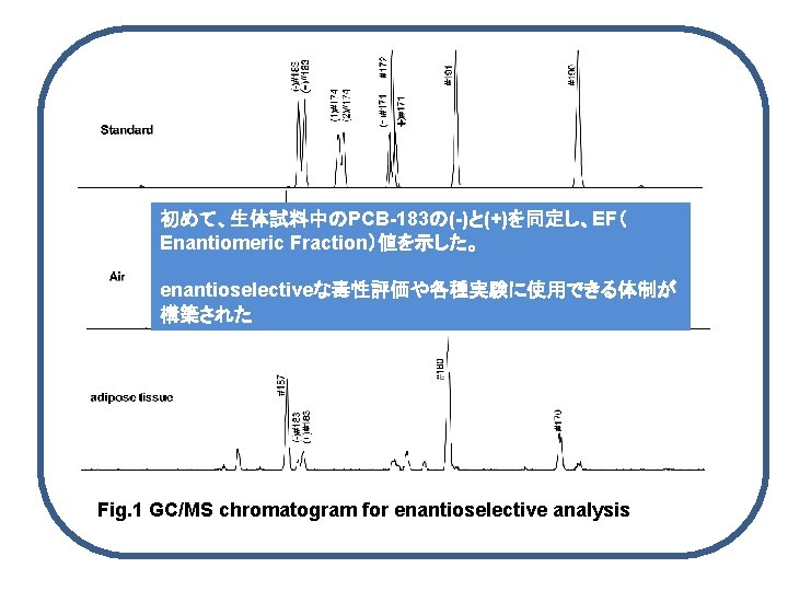 i ＋ 初めて、生体試料中のPCB-183の(-)と(+)を同定し、EF（ Enantiomeric Fraction）値を示した。 enantioselectiveな毒性評価や各種実験に使用できる体制が 構築された i ＋ Fig. 1 GC/MS chromatogram for