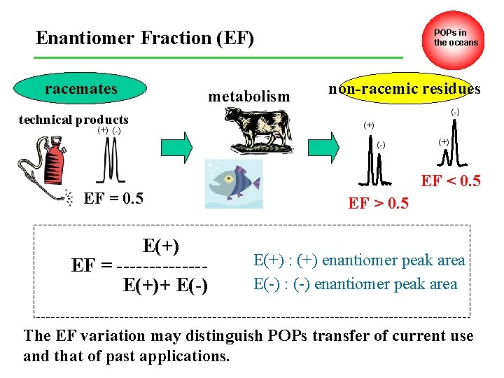 Enantiomer Fraction (EF) racemates metabolism technical products (+) (-) POPs in the oceans non-racemic