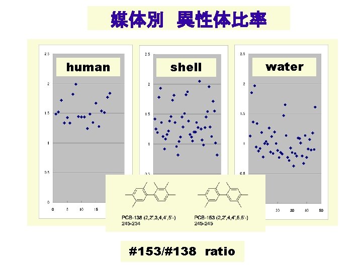 媒体別 異性体比率 human shell #153/#138 ratio water 