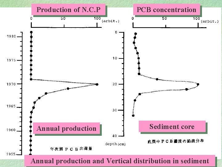 Production of N. C. P Annual production PCB concentration Sediment core Annual production and