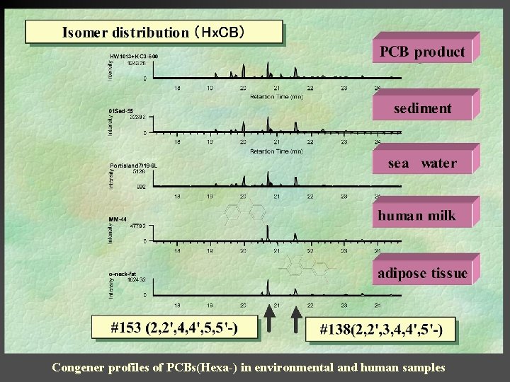 Congener profiles of PCBs(Hexa-) in environmental and human samples 