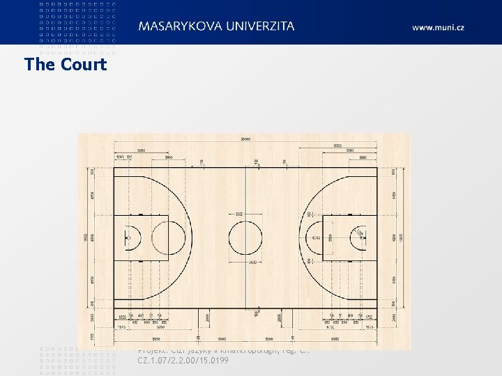 The Court Projekt: Cizí jazyky v kinantropologii, reg. č. : CZ. 1. 07/2. 2.